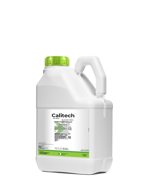 Calitech-1_G