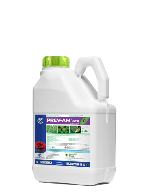 PREV-AM 5ltr