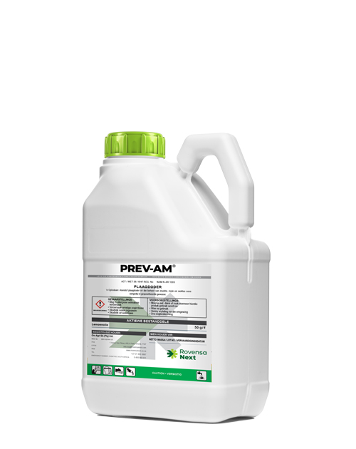 PREV-AM_Namibia