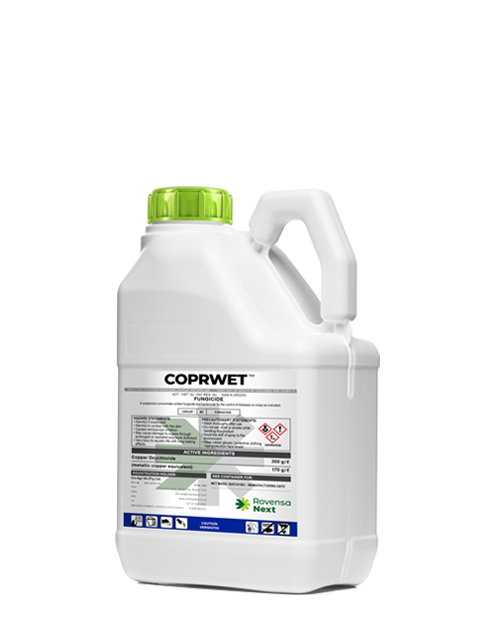 Coprwet_Namibia